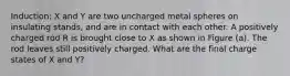 Induction: X and Y are two uncharged metal spheres on insulating stands, and are in contact with each other. A positively charged rod R is brought close to X as shown in Figure (a). The rod leaves still positively charged. What are the final charge states of X and Y?