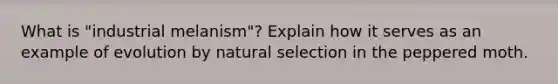 What is "industrial melanism"? Explain how it serves as an example of evolution by natural selection in the peppered moth.