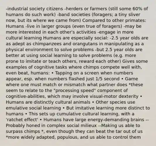 -industrial society citizens -herders or farmers (still some 60% of humans do such work) -band societies (foragers; a tiny sliver now, but its where we came from) Compared to other primates: Humans -live in larger groups (even true of foragers) -may be more interested in each other's activities -engage in more cultural learning Humans are especially social: -2.5 year olds are as adept as chimpanzees and orangutans in manipulating as a physical environment to solve problems -but 2.5 year olds are better at using social learning to solve problems (e.g. more prone to imitate or teach others, reward each other) Gives some examples of cognitive tasks where chimps compete well with, even beat, humans: • Tapping on a screen when numbers appear, esp. when numbers flashed just 1/5 second • Game where one must match or mismatch what partner does *these seem to relate to the "processing speed" component of cognitive-abilities, which may involve visual-motor dexterity • Humans are distinctly cultural animals • Other species use emulative social learning • But imitative learning more distinct to humans • This sets up cumulative cultural learning, with a 'ratchet effect' • Humans have large energy-demanding brains --Probably honed in complex social milieux --Making us able to surpass chimps *, even though they can beat the tar out of us *more widely adapted, populous, and us able to control them