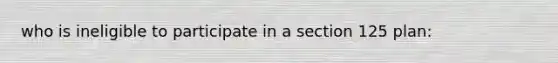 who is ineligible to participate in a section 125 plan: