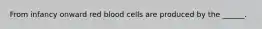 From infancy onward red blood cells are produced by the ______.