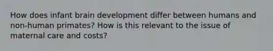 How does infant brain development differ between humans and non-human primates? How is this relevant to the issue of maternal care and costs?