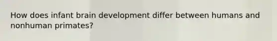 How does infant brain development differ between humans and nonhuman primates?