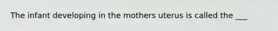 The infant developing in the mothers uterus is called the ___