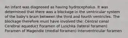 An infant was diagnosed as having hydrocephalus. It was determined that there was a blockage in the ventricular system of the baby's brain between the third and fourth ventricles. The blockage therefore must have involved the: Central canal Cerebral aqueduct Foramen of Luschka (lateral foramen) Foramen of Magendie (medial foramen) Interventricular foramen