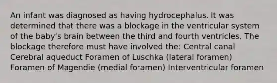 An infant was diagnosed as having hydrocephalus. It was determined that there was a blockage in the ventricular system of the baby's brain between the third and fourth ventricles. The blockage therefore must have involved the: Central canal Cerebral aqueduct Foramen of Luschka (lateral foramen) Foramen of Magendie (medial foramen) Interventricular foramen