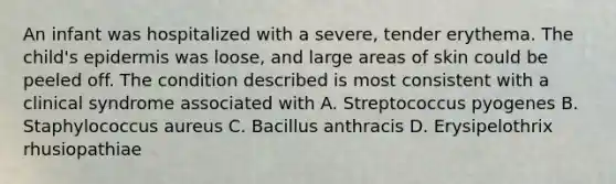 An infant was hospitalized with a severe, tender erythema. The child's epidermis was loose, and large areas of skin could be peeled off. The condition described is most consistent with a clinical syndrome associated with A. Streptococcus pyogenes B. Staphylococcus aureus C. Bacillus anthracis D. Erysipelothrix rhusiopathiae