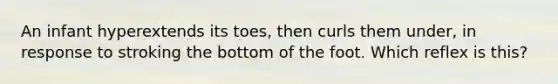 An infant hyperextends its toes, then curls them under, in response to stroking the bottom of the foot. Which reflex is this?