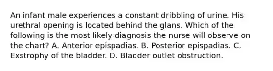 An infant male experiences a constant dribbling of urine. His urethral opening is located behind the glans. Which of the following is the most likely diagnosis the nurse will observe on the chart? A. Anterior epispadias. B. Posterior epispadias. C. Exstrophy of the bladder. D. Bladder outlet obstruction.