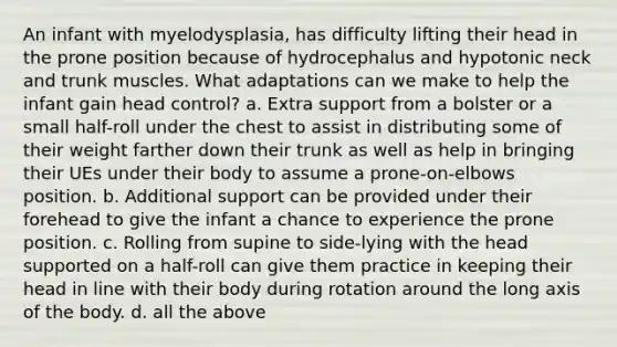 An infant with myelodysplasia, has difficulty lifting their head in the prone position because of hydrocephalus and hypotonic neck and trunk muscles. What adaptations can we make to help the infant gain head control? a. Extra support from a bolster or a small half-roll under the chest to assist in distributing some of their weight farther down their trunk as well as help in bringing their UEs under their body to assume a prone-on-elbows position. b. Additional support can be provided under their forehead to give the infant a chance to experience the prone position. c. Rolling from supine to side-lying with the head supported on a half-roll can give them practice in keeping their head in line with their body during rotation around the long axis of the body. d. all the above