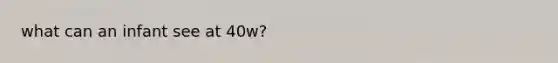 what can an infant see at 40w?