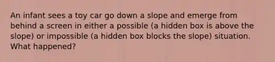 An infant sees a toy car go down a slope and emerge from behind a screen in either a possible (a hidden box is above the slope) or impossible (a hidden box blocks the slope) situation. What happened?