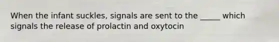 When the infant suckles, signals are sent to the _____ which signals the release of prolactin and oxytocin