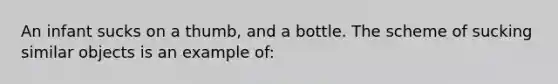 An infant sucks on a thumb, and a bottle. The scheme of sucking similar objects is an example of: