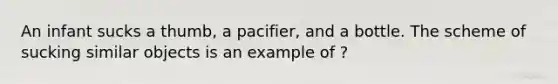 An infant sucks a thumb, a pacifier, and a bottle. The scheme of sucking similar objects is an example of ?