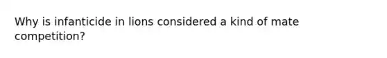 Why is infanticide in lions considered a kind of mate competition?