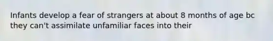 Infants develop a fear of strangers at about 8 months of age bc they can't assimilate unfamiliar faces into their