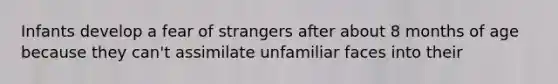 Infants develop a fear of strangers after about 8 months of age because they can't assimilate unfamiliar faces into their