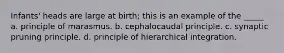 Infants' heads are large at birth; this is an example of the _____ a. principle of marasmus. b. cephalocaudal principle. c. synaptic pruning principle. d. principle of hierarchical integration.