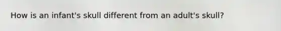 How is an infant's skull different from an adult's skull?