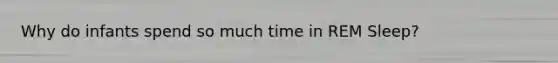 Why do infants spend so much time in REM Sleep?