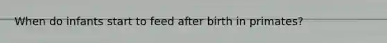 When do infants start to feed after birth in primates?