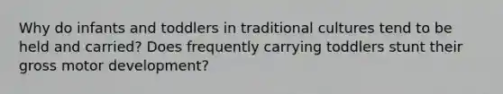 Why do infants and toddlers in traditional cultures tend to be held and carried? Does frequently carrying toddlers stunt their gross motor development?