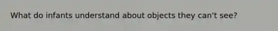 What do infants understand about objects they can't see?
