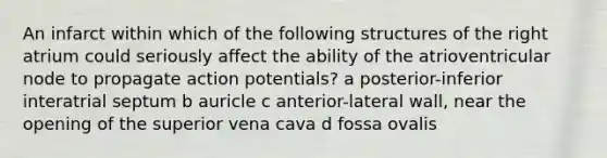 An infarct within which of the following structures of the right atrium could seriously affect the ability of the atrioventricular node to propagate action potentials? a posterior-inferior interatrial septum b auricle c anterior-lateral wall, near the opening of the superior vena cava d fossa ovalis