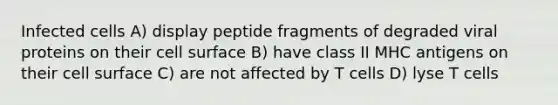 Infected cells A) display peptide fragments of degraded viral proteins on their cell surface B) have class II MHC antigens on their cell surface C) are not affected by T cells D) lyse T cells