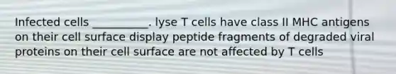 Infected cells __________. lyse T cells have class II MHC antigens on their cell surface display peptide fragments of degraded viral proteins on their cell surface are not affected by T cells