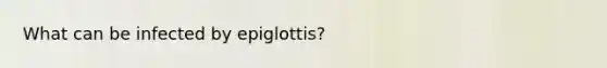 What can be infected by epiglottis?