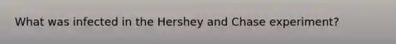 What was infected in the Hershey and Chase experiment?