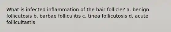 What is infected inflammation of the hair follicle? a. benign follicutosis b. barbae folliculitis c. tinea follicutosis d. acute follicultastis