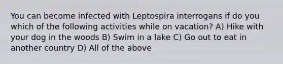 You can become infected with Leptospira interrogans if do you which of the following activities while on vacation? A) Hike with your dog in the woods B) Swim in a lake C) Go out to eat in another country D) All of the above