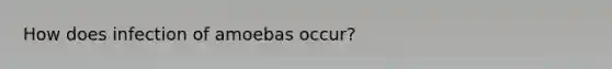 How does infection of amoebas occur?