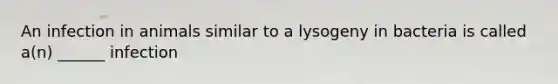 An infection in animals similar to a lysogeny in bacteria is called a(n) ______ infection