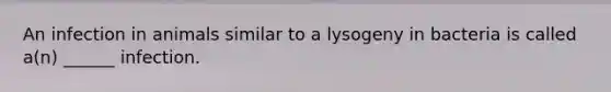 An infection in animals similar to a lysogeny in bacteria is called a(n) ______ infection.