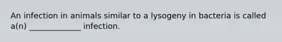 An infection in animals similar to a lysogeny in bacteria is called a(n) _____________ infection.