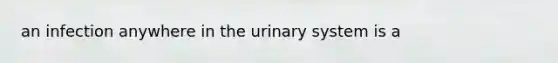 an infection anywhere in the urinary system is a