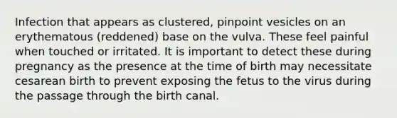 Infection that appears as clustered, pinpoint vesicles on an erythematous (reddened) base on the vulva. These feel painful when touched or irritated. It is important to detect these during pregnancy as the presence at the time of birth may necessitate cesarean birth to prevent exposing the fetus to the virus during the passage through the birth canal.