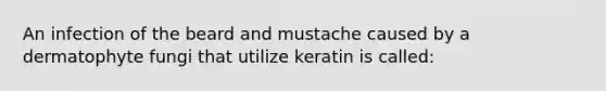 An infection of the beard and mustache caused by a dermatophyte fungi that utilize keratin is called: