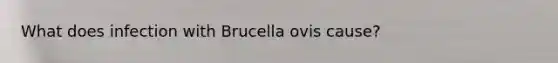 What does infection with Brucella ovis cause?