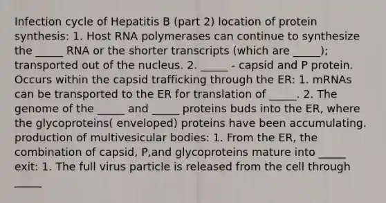 Infection cycle of Hepatitis B (part 2) location of protein synthesis: 1. Host RNA polymerases can continue to synthesize the _____ RNA or the shorter transcripts (which are _____); transported out of the nucleus. 2. _____ - capsid and P protein. Occurs within the capsid trafficking through the ER: 1. mRNAs can be transported to the ER for translation of _____. 2. The genome of the _____ and _____ proteins buds into the ER, where the glycoproteins( enveloped) proteins have been accumulating. production of multivesicular bodies: 1. From the ER, the combination of capsid, P,and glycoproteins mature into _____ exit: 1. The full virus particle is released from the cell through _____