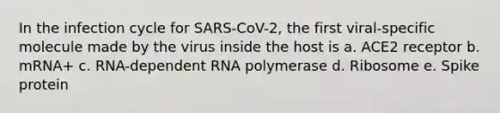 In the infection cycle for SARS-CoV-2, the first viral-specific molecule made by the virus inside the host is a. ACE2 receptor b. mRNA+ c. RNA-dependent RNA polymerase d. Ribosome e. Spike protein