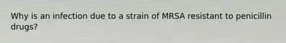 Why is an infection due to a strain of MRSA resistant to penicillin drugs?