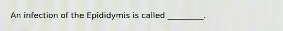 An infection of the Epididymis is called _________.