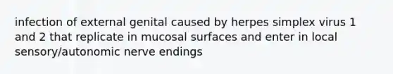 infection of external genital caused by herpes simplex virus 1 and 2 that replicate in mucosal surfaces and enter in local sensory/autonomic nerve endings