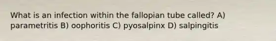 What is an infection within the fallopian tube called? A) parametritis B) oophoritis C) pyosalpinx D) salpingitis