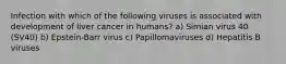 Infection with which of the following viruses is associated with development of liver cancer in humans? a) Simian virus 40 (SV40) b) Epstein-Barr virus c) Papillomaviruses d) Hepatitis B viruses